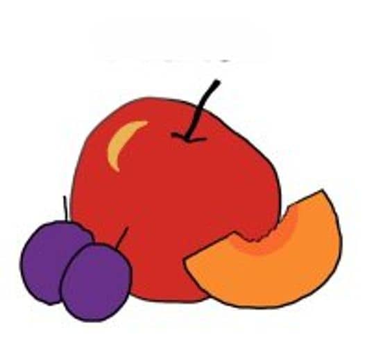 fruits